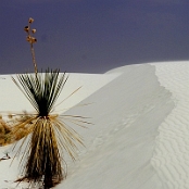 White Sands 04